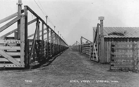 Stockyards, Staples Minnesota, 1929