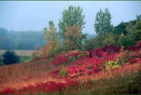 Sakatah State Park, Waterville Minnesota