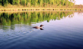 Pike Lake Resort, Waubun Minnesota