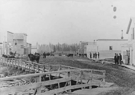 Street Scene in Cook Minnesota 1905
