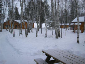 Eagle Forest Acres, Blackduck MN