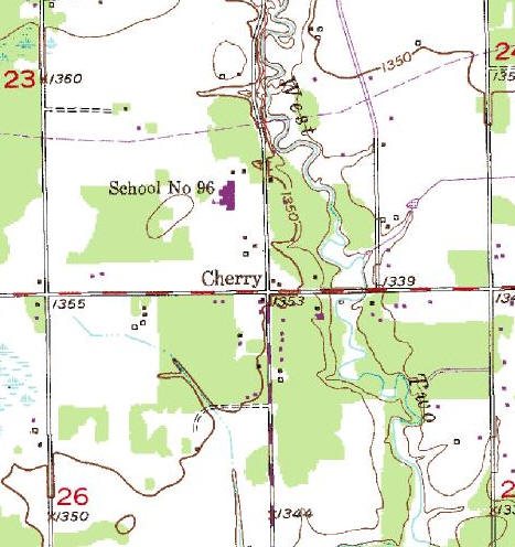 Topographic Map of the Cherry Minnesota area