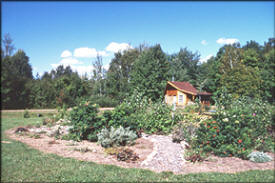 Dwelling In The Woods, McGrath Minnesota