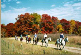 Outback Trail Rides, Pillager Minnesota