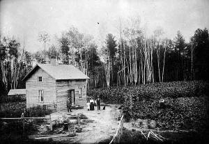 Lake Jessie Township, Nils Strom homestead.