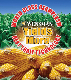 Wensman Seed Company, Wadena Minnesota