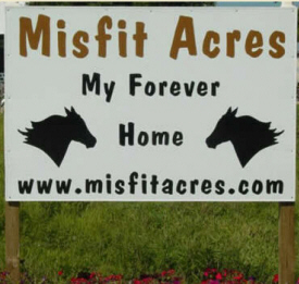 Misfit Acres, Amboy Minnesota