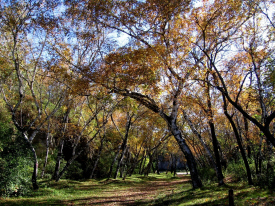 Memorial Hiking Trail