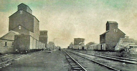 Elevator row, Madelia Minnesota, 1910's