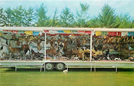 H & H Wildlife Mobile Museum, Spring Valley Minnesota, 1966