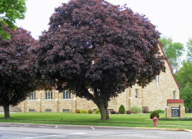 Trinity Lutheran Church, Trimont Minnesota