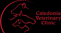 Caledonia Veterinary Clinic, Caledonia Minnesota