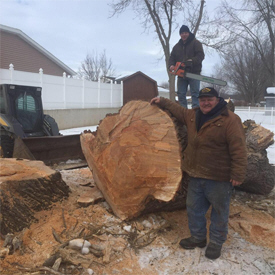 Bearbower Painting & Tree Service, Caledonia Minnesota