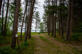 Camping site at South Pike Bay campground.