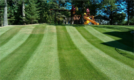 Lawn Masters, Cohasset Minnesota