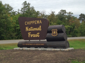 Chippewa National Forest