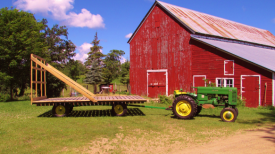 Wildflower Farm, Puposky Minnesota