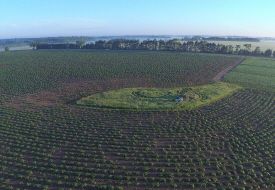 Stoney Brook Farms Inc. Foley Minnesota