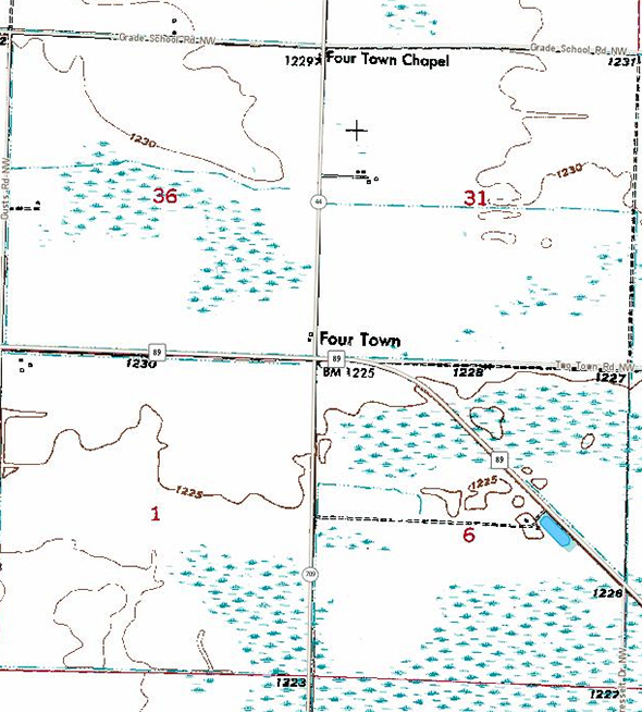 Topographic map of the Fourtown Minnesota area