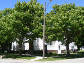 Concregational Church, Garvin Minnesota