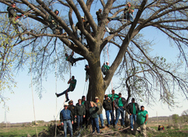 Minnesota Valley Tree Service, Granite Falls Minnesota