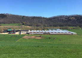 Longhorn Valley Greenhouse, La Crescent Minnesota