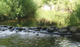 Fritz Loven Park, Lake Shore Minnesota