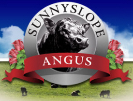 Sunnyslope Angus, Lanesboro Minnesota