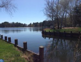 Austin's Swamp, Longville Minnesota