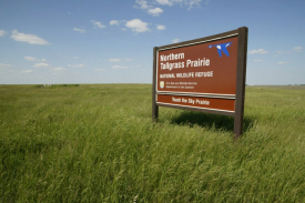 Touch the Sky Prairie, Luverne Minnesota