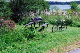 Mollie Lake rest area at mile 10.5 on the Paul Bunyan Trail