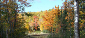 Gafvert Campground, Moose Lake Minnesota