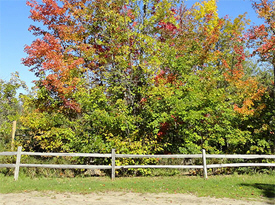 Rock Lake Campground, Pillager Minnesota