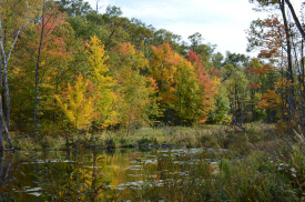 Pillsbury State Forest, Pillager Minnesota