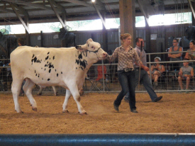 Fillmore County Fair, Preston Minnesota