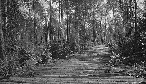 Corduroy road near Redby Minnesota, 1918