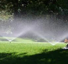 Master Lawn Irrigation, Rice Minnesota