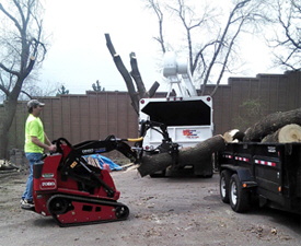 A-Skwira's Tree Service & Landscaping, Royalton Minnesota