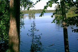 Scenic State Park, Bigfork Minnesota