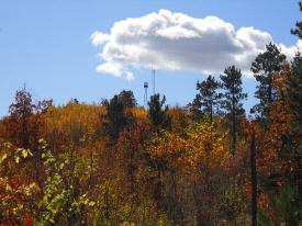 Smoky Hills State Forest, Wolf Lake Minnesota