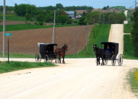 amish minnesota