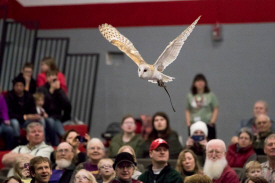 International Festival of the Owls, Houston Minnesota