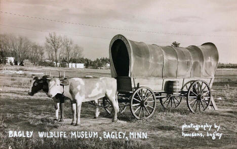 Bagley Wildlife Museum, Bagley Minnesota, 1950's