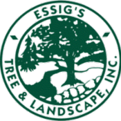 Essig Tree & Landscape, Inc.