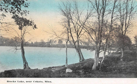 Brooks Lake near Cokato Minnesota, 1910's