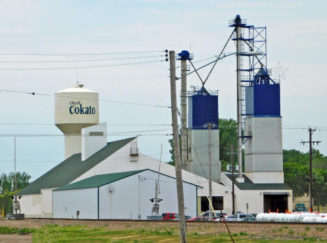 Elevator and Water Tower, Cokato Minnesota, 2020