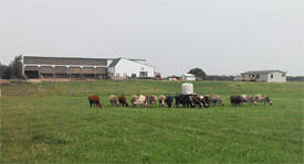 Nyquist Farm, Cokato Minnesota