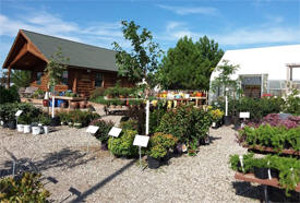 Midwest Garden Company, Dassel Minnesota