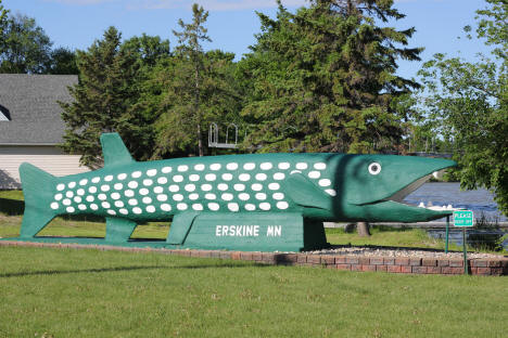 Largest Northern Pike in Minnesota, Erskine Minnesota, 2013