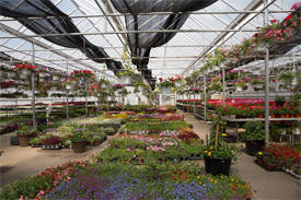 Fertile Garden Center, Fertile Minnesota